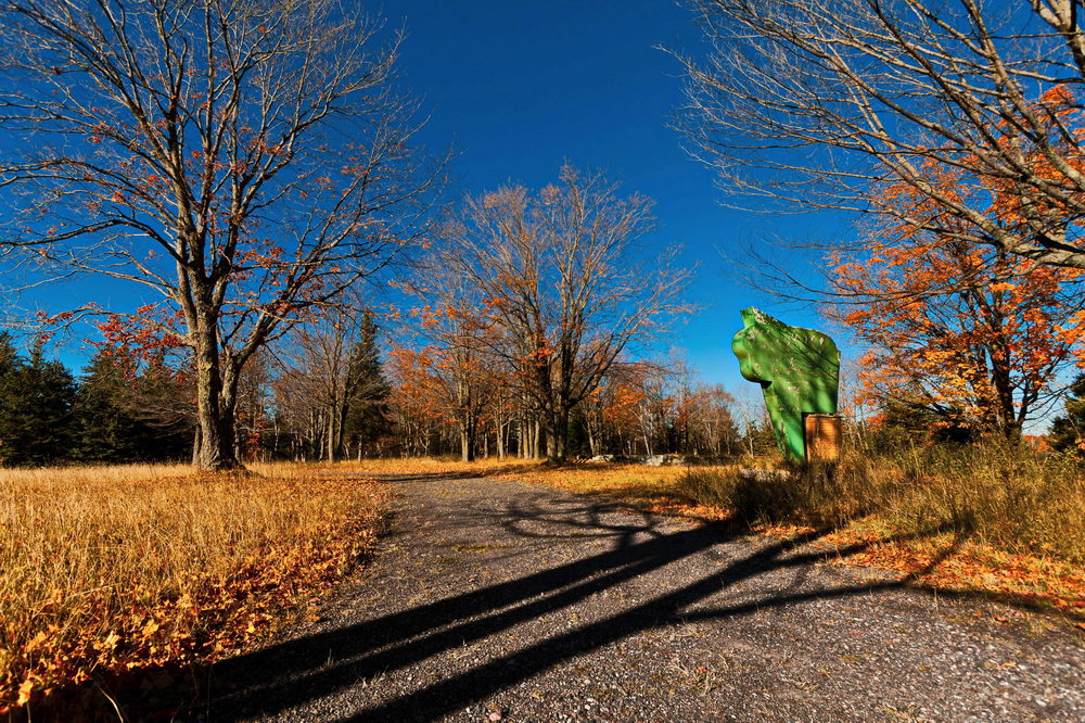 Skyway Court Bar - From Martin Hogan On Flickr (newer photo)